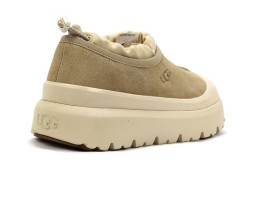 UGG TASMAN WEATHER HYBRID MUSTARD SEED UGG TASMAN WEATHER HYBRID MUSTARD SEED