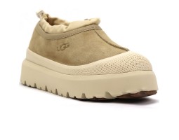 UGG TASMAN WEATHER HYBRID MUSTARD SEED UGG TASMAN WEATHER HYBRID MUSTARD SEED