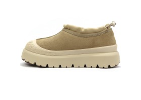 UGG TASMAN WEATHER HYBRID MUSTARD SEED