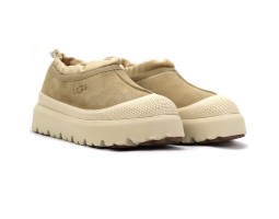 UGG TASMAN WEATHER HYBRID MUSTARD SEED UGG TASMAN WEATHER HYBRID MUSTARD SEED