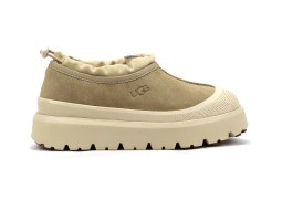 UGG TASMAN WEATHER HYBRID MUSTARD SEED UGG TASMAN WEATHER HYBRID MUSTARD SEED