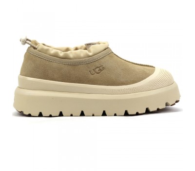 UGG TASMAN WEATHER HYBRID MUSTARD SEED UGG TASMAN WEATHER HYBRID MUSTARD SEED