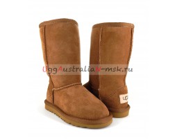 UGG KIDS CLASSIC II TALL CHESTNUT