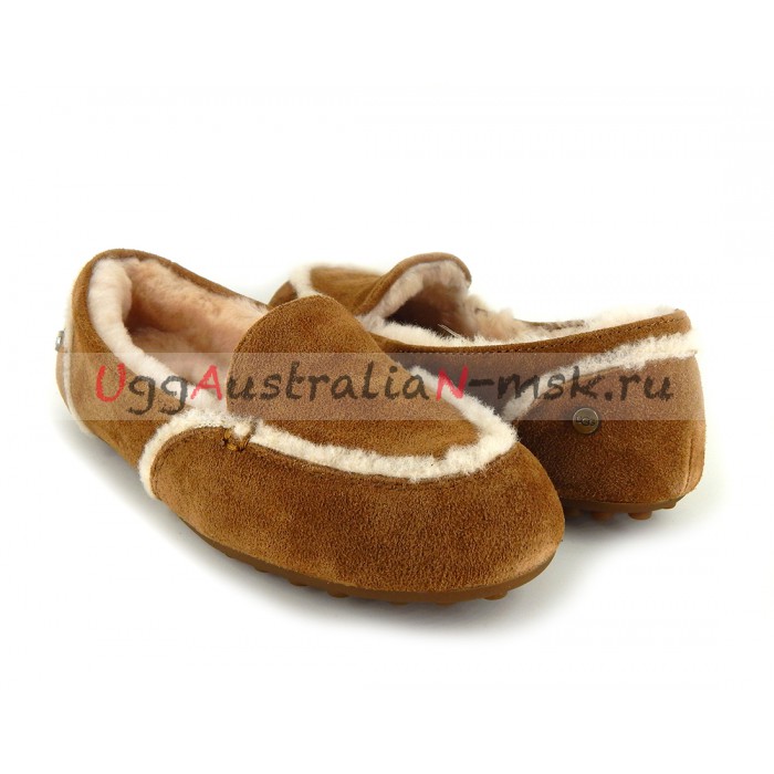 hailey ugg slippers