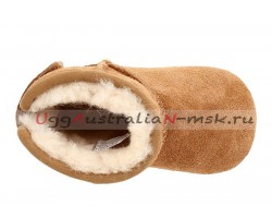 UGG JESSE CHESTNUT