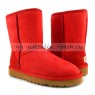 UGG CLASSIC SHORT SANGRIA