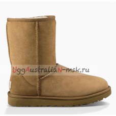 UGG CLASSIC II CHESTNUT