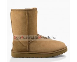 UGG CLASSIC II CHESTNUT