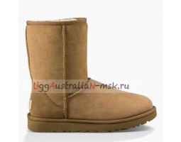 UGG CLASSIC II CHESTNUT