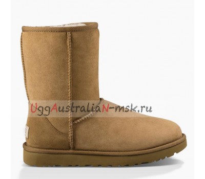 UGG CLASSIC II CHESTNUT