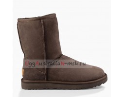 UGG CLASSIC II CHOCOLATE