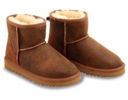 UGG CLASSIC MINI BOMBER JACKET CHESTNUT