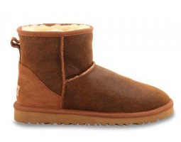 UGG CLASSIC MINI BOMBER JACKET CHESTNUT