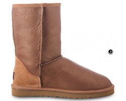 UGG CLASSIC SHORT METALLIC CHESTNUT