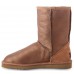 UGG CLASSIC SHORT METALLIC CHESTNUT