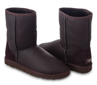 UGG CLASSIC SHORT METALLIC CHOCOLATE