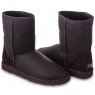 UGG CLASSIC SHORT METALLIC CHOCOLATE