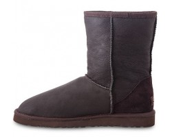 UGG CLASSIC SHORT METALLIC CHOCOLATE