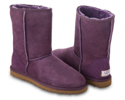 UGG CLASSIC SHORT PURPLE