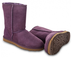 UGG CLASSIC SHORT PURPLE