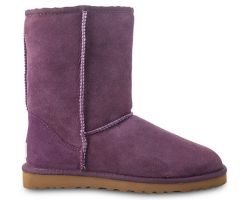 UGG CLASSIC SHORT PURPLE