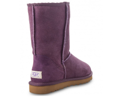 UGG CLASSIC SHORT PURPLE