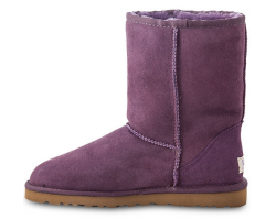 UGG CLASSIC SHORT PURPLE