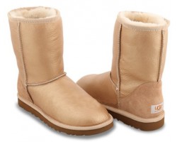 UGG CLASSIC SHORT SOFT GOLD