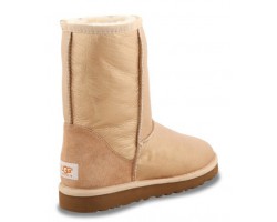 UGG CLASSIC SHORT SOFT GOLD