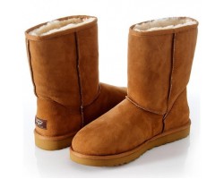 UGG MENS CLASSIC SHORT CHESTNUT