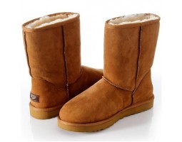 UGG MENS CLASSIC SHORT CHESTNUT