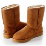 UGG MENS CLASSIC SHORT CHESTNUT