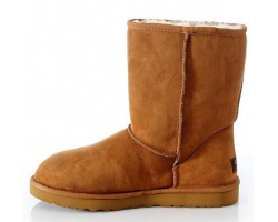 UGG MENS CLASSIC SHORT CHESTNUT