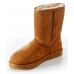 UGG MENS CLASSIC SHORT CHESTNUT