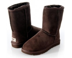 UGG MENS CLASSIC SHORT CHOCOLATE