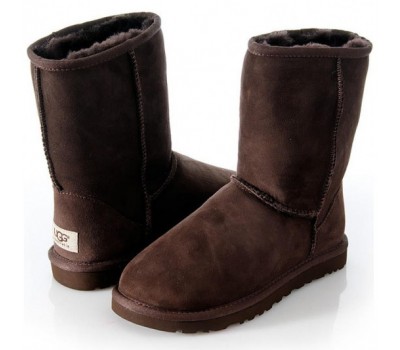 UGG MENS CLASSIC SHORT CHOCOLATE