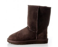 UGG MENS CLASSIC SHORT CHOCOLATE