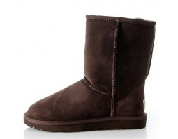 UGG MENS CLASSIC SHORT CHOCOLATE