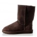 UGG MENS CLASSIC SHORT CHOCOLATE