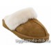 UGG SLIPPER CHESTNUT