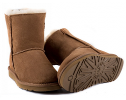 UGG ZIP MINI CHESTNUT