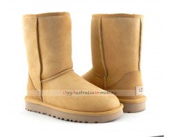 UGG CLASSIC II SHORT AMBERLIGHT