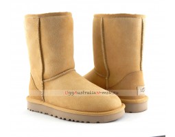 UGG CLASSIC II SHORT AMBERLIGHT