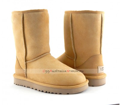 UGG CLASSIC II SHORT AMBERLIGHT