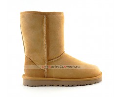 UGG CLASSIC II SHORT AMBERLIGHT