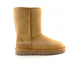 UGG CLASSIC II SHORT AMBERLIGHT