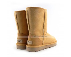 UGG CLASSIC II SHORT AMBERLIGHT