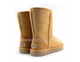 UGG CLASSIC II SHORT AMBERLIGHT