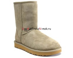 UGG CLASSIC SHORT II ANTILOPE