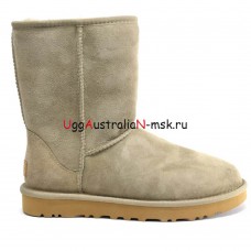 UGG CLASSIC SHORT II ANTILOPE